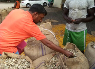 AGRO BUSINESS TRADE IMPORT EXPORT