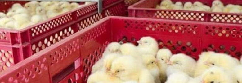 Adexville Agricultural Services