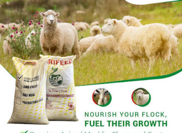 Agrifeed MOLEPOLOLE