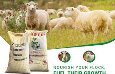 Agrifeed MOLEPOLOLE