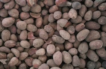 Alhaj CY Shea Nuts and Soybeans Company Tamale