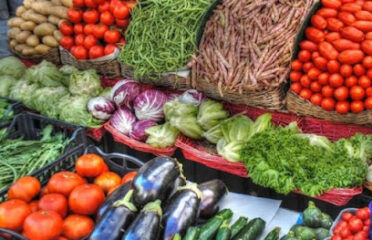 Cabinet Essemvo Africa : Élevage ; Agriculture