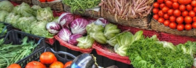 Cabinet Essemvo Africa : Élevage ; Agriculture