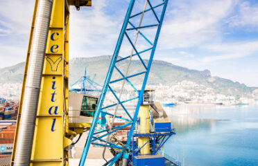 Cevital Agro-Industrie