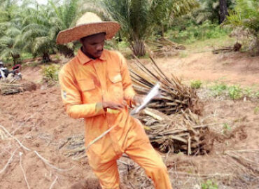 Cos-Agrobusiness center (CosAc)