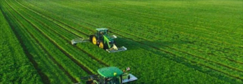 Cush farm Management| Best Agriculture service company in south Sudan