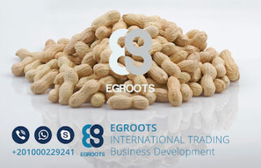 EGROOTS