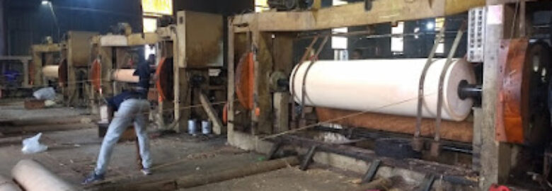 Gabon Timber Industry