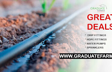 Graduate Farmer Limited