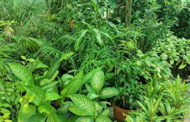 Hamco Investments (Pty) Ltd Eswatini