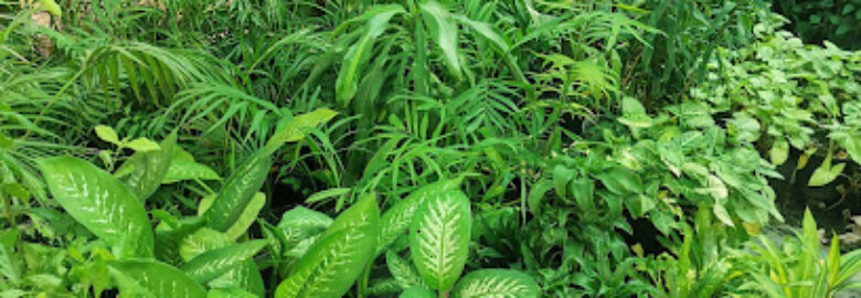 Hamco Investments (Pty) Ltd Eswatini