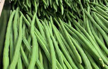 Jallow Trading Vegetables Farm