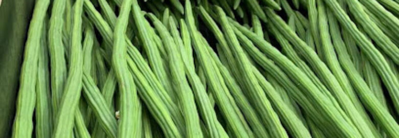 Jallow Trading Vegetables Farm