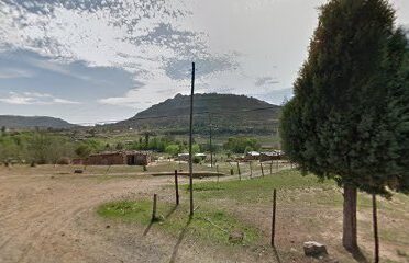 Makorota Agricultural Inputs & Farm Feeds