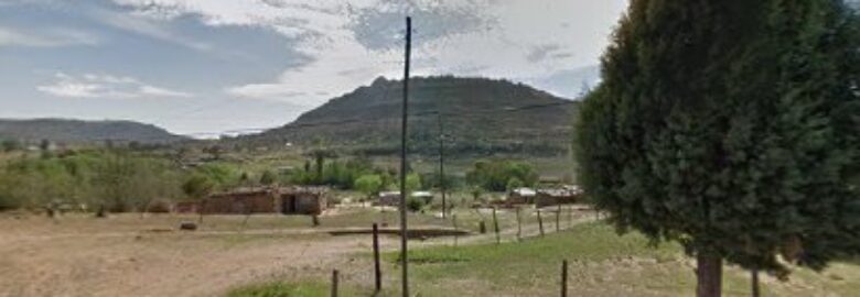 Makorota Agricultural Inputs & Farm Feeds