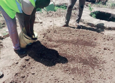 Mali Sènè Kuntaalajan