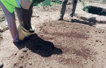 Mali Sènè Kuntaalajan