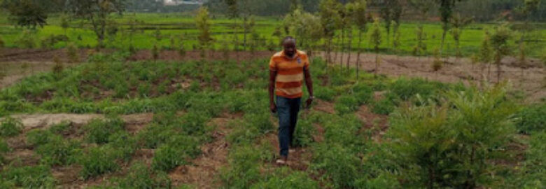 Muhanga Horticulture Centre of Excellence
