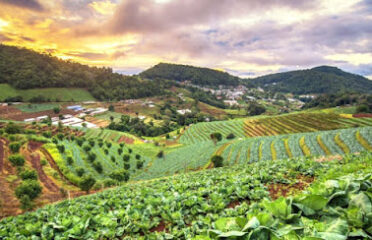 PLANET AGRIBUSINESS CM