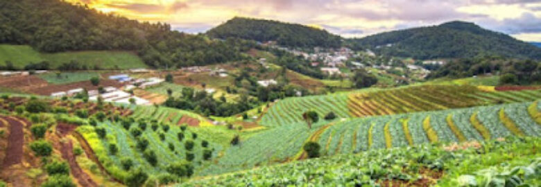 PLANET AGRIBUSINESS CM