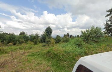 Pharmaceutical company ltd