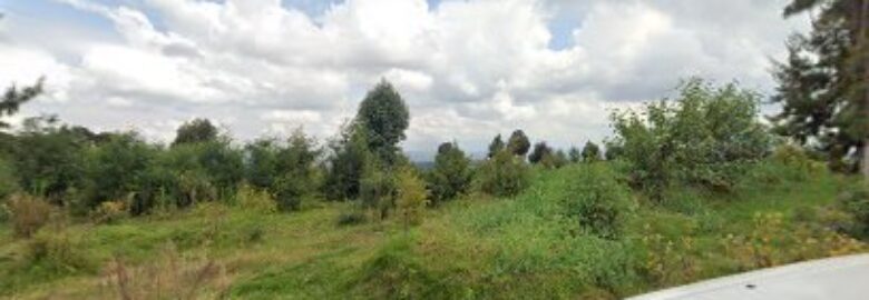 Pharmaceutical company ltd