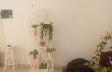 Photography and graphic design