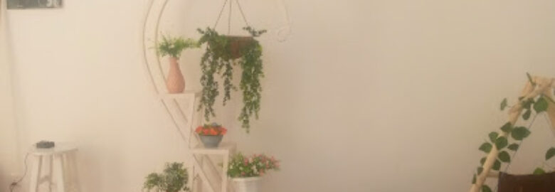 Photography and graphic design