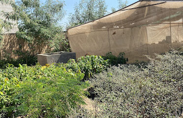 Services Agricultural Du Cayor