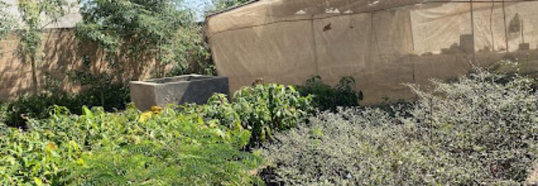 Services Agricultural Du Cayor