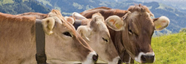 Société Notre Ferme SARL