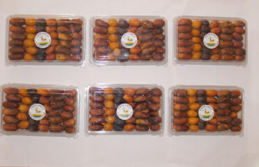 Soug-Errahba-Oasis | سوق الرحبة الواحية