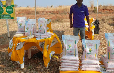 Steward Globe Limited-Afriseed Kasama Zambia