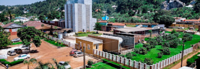 TANGANYIKA INSTANT COFFEE PUBLIC LIMITED COMPANY (TANICA PLC)