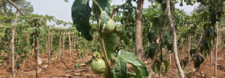 UNI-FARM CORPORATION