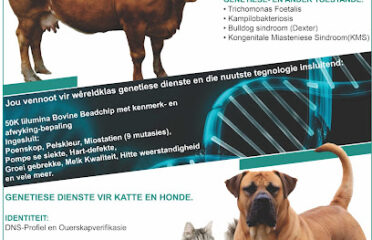 Unistel Medical Laboratories (Pty) Ltd