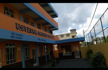 Universal Academic Institute