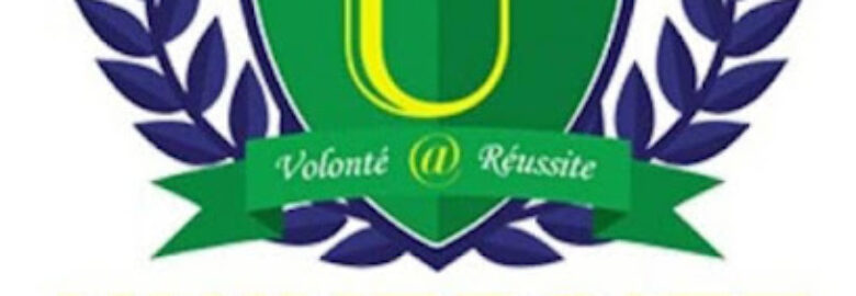 University Virtuelle Des Réseaux Sociaux