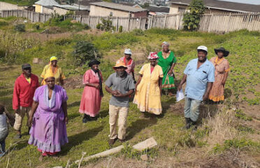 Urban Farm KwaZulu Natal Agro