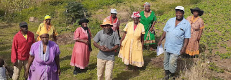 Urban Farm KwaZulu Natal Agro