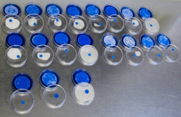 Water Analytical Laboratory cc