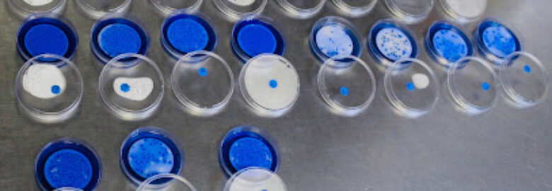 Water Analytical Laboratory cc