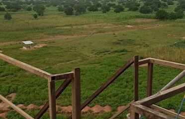 Whitefield Agro Processing Ltd