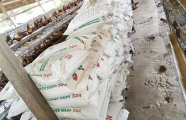 Yetlat Global Farm Resources Limited