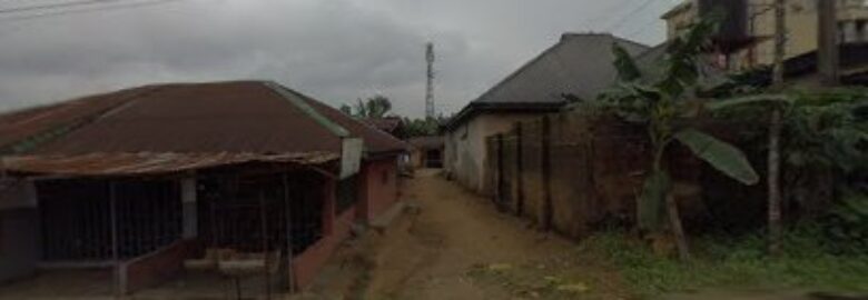 Yirebak Global Farms