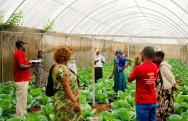 Youth Engagement in Agriculture Network – YEAN