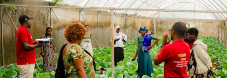 Youth Engagement in Agriculture Network – YEAN