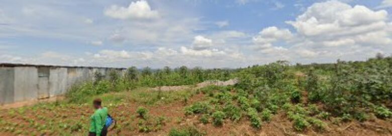 Zia Pharmacy Kanombe (Kajagari)