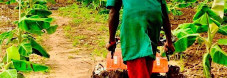 Ziko Farms And Agro Service Ltd