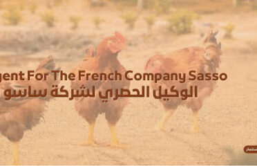 المؤسسة الحديثة للتنمية الثروة الحيوانية – ساسو مصر SASSO EGYPT